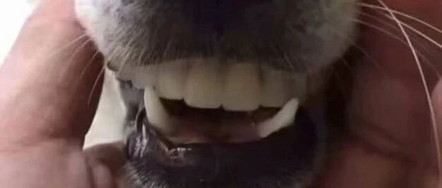 我终于信女人是水做的了