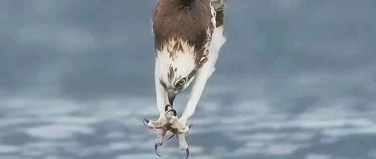 一时间我竟有种分不清手脚的错觉