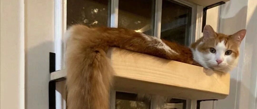 他曾经是个王者，后来班主任来了......