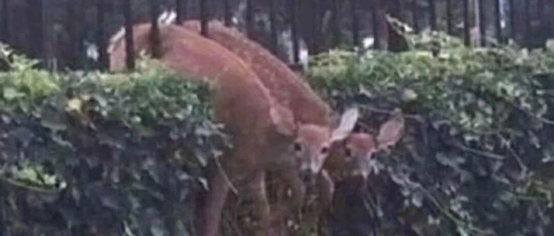 吃个冰棍怎么这么难！