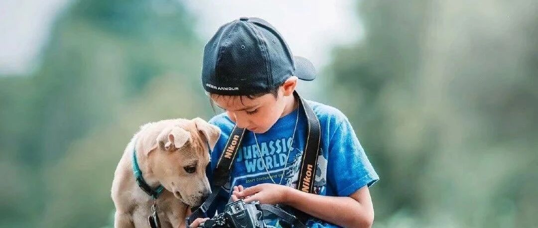 我只不过是个闻外卖的小可怜罢了