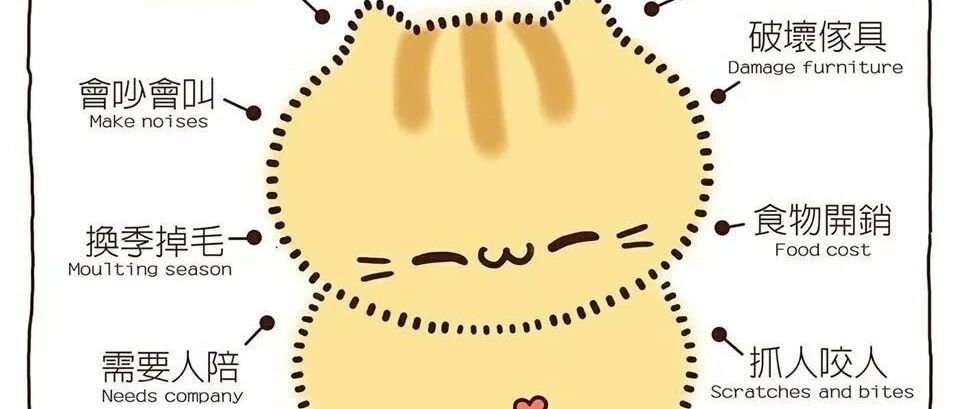 仙女的小电车也要有排面~