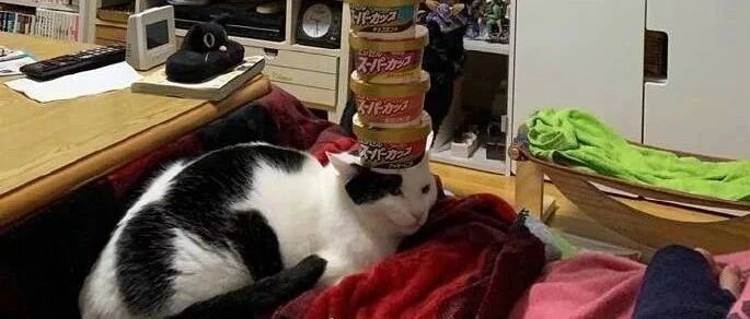 老师不好意思，走错教室了！