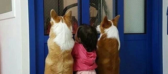 好久没见过这么优秀的游戏ID了