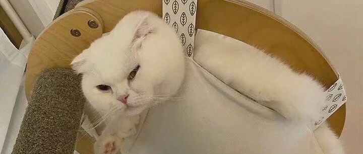 伞兵一号准备就绪