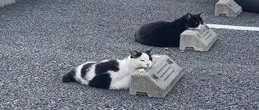 史上最严重的忘带钥匙事件