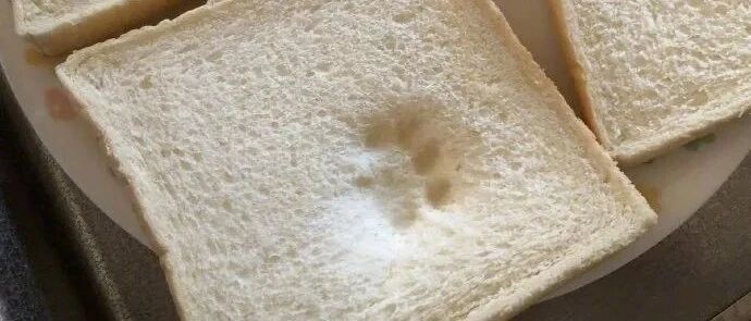 这要是语文题的话就得满分了