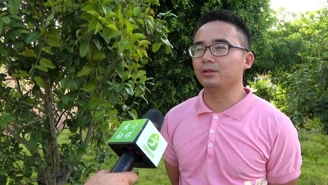 江屯镇举办单丛茶,龙须菜栽培技术培训班-肇庆市广宁县人民政府网站