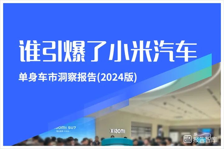2023中国单身车市场洞察报告（女性是单身车增长的关键力量）