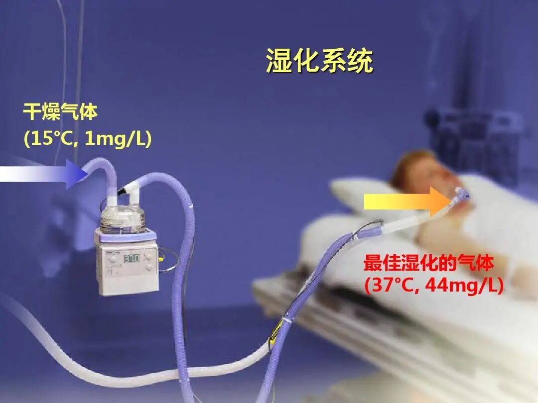 气管插管牙垫怎么放这是关于气管插管最全总结，欢迎转发_https://www.jmylbn.com_新闻资讯_第20张