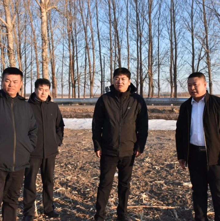 焦伟到和平、安达两个牧场有限公司调研