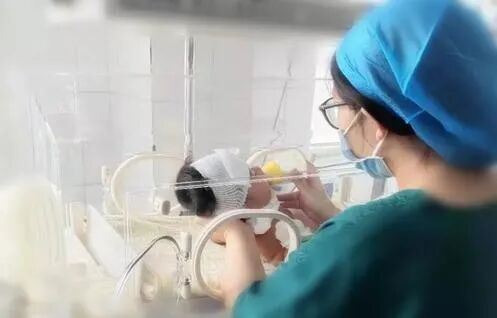 为什么要用光疗纸尿裤小宝贝黄疸不用母婴分离了——厦门大学附属第一医院同安院区日间光疗病房_https://www.jmylbn.com_新闻资讯_第5张