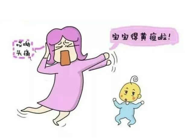 为什么要用光疗纸尿裤小宝贝黄疸不用母婴分离了——厦门大学附属第一医院同安院区日间光疗病房_https://www.jmylbn.com_新闻资讯_第4张