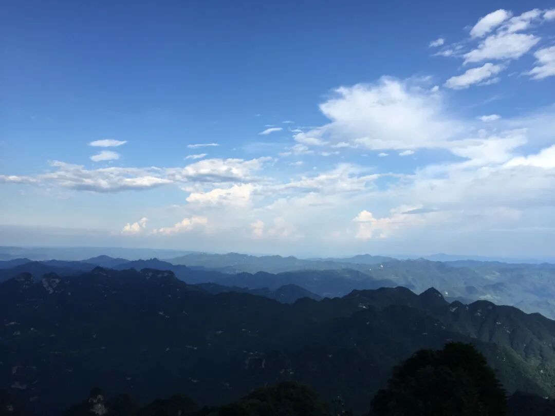 中国作家协会,中国铁路作家协会会员.