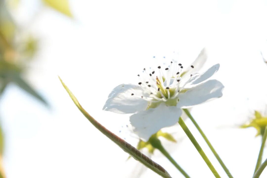 诗天子61诗刊|诗歌精选第348期