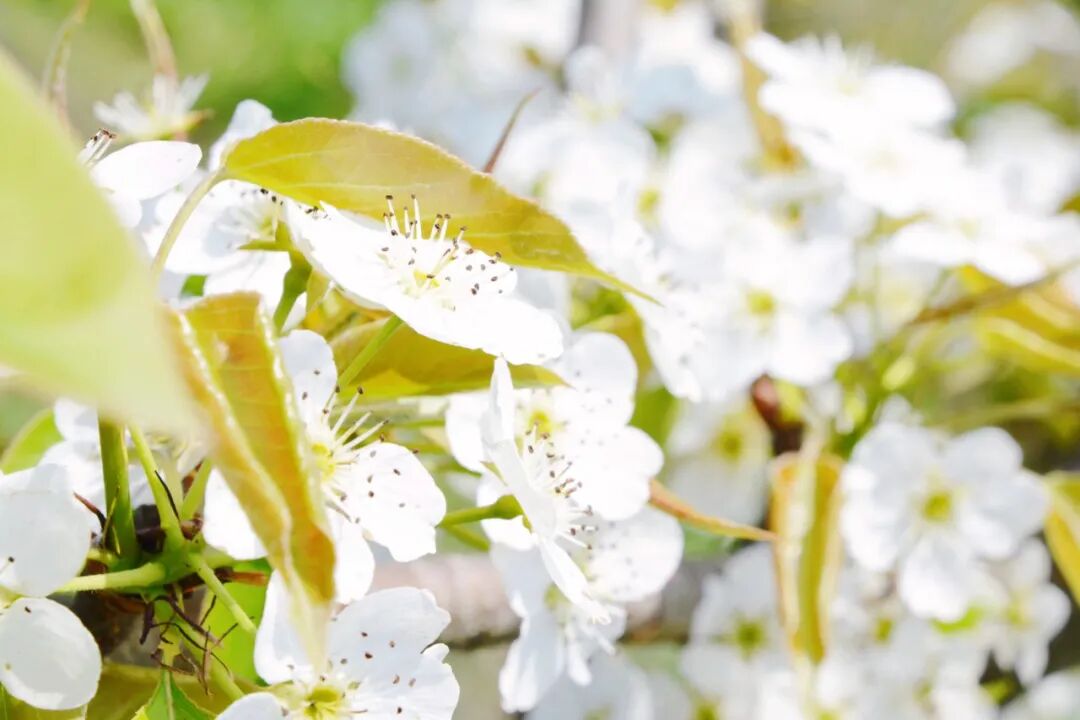 诗天子gf2022gf诗刊诗歌精选第269期