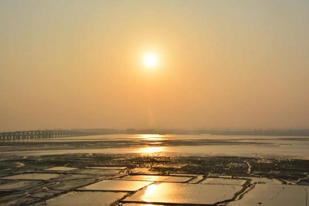 诗天子[gf]2022[/gf]诗刊|诗歌精选第342期