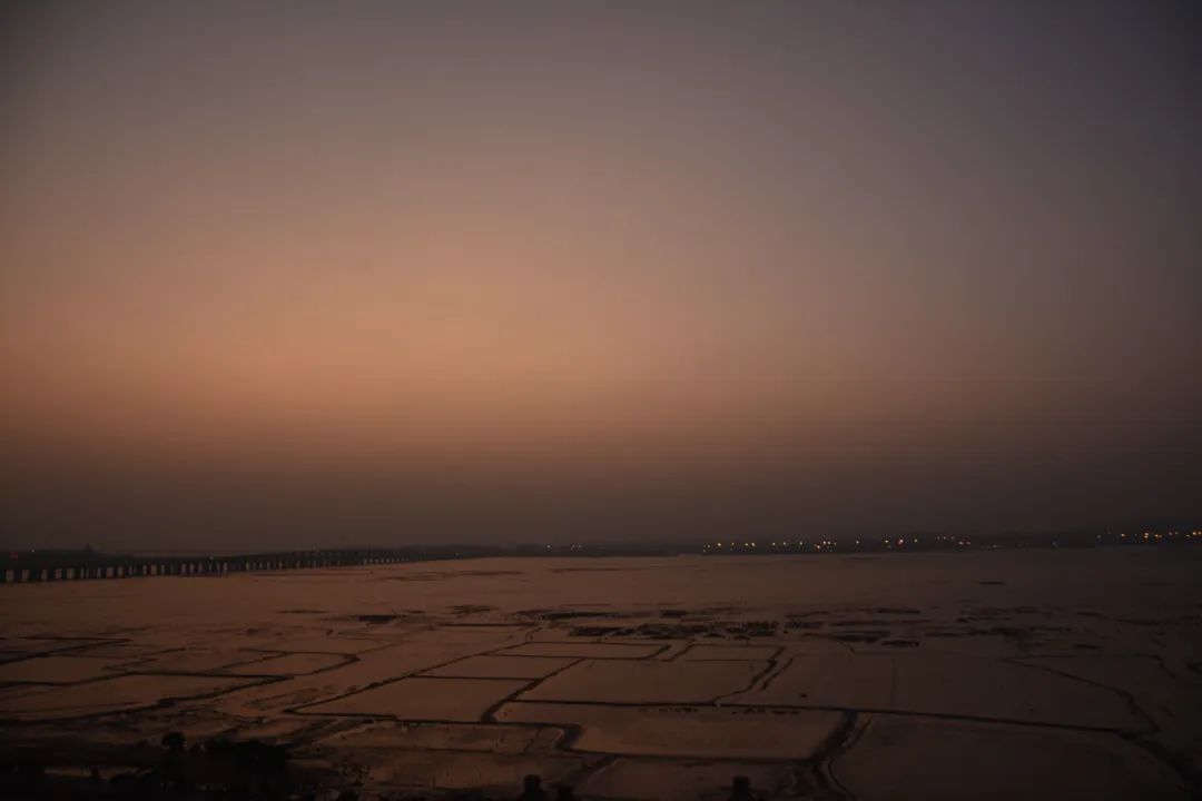 海棠我珍视 这昏暗的光线中呈现的一切:风的 雨的 黄昏的 晨曦的仿佛