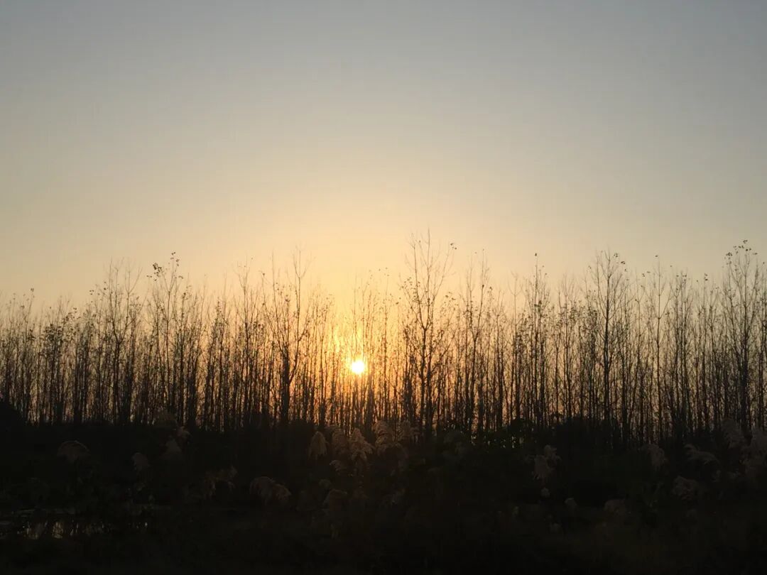 诗天子gf2022gf诗刊诗歌精选第265期