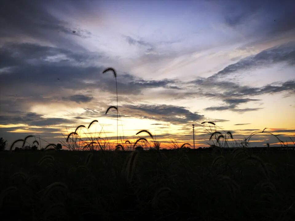 诗天子61诗刊|诗歌精选第319期