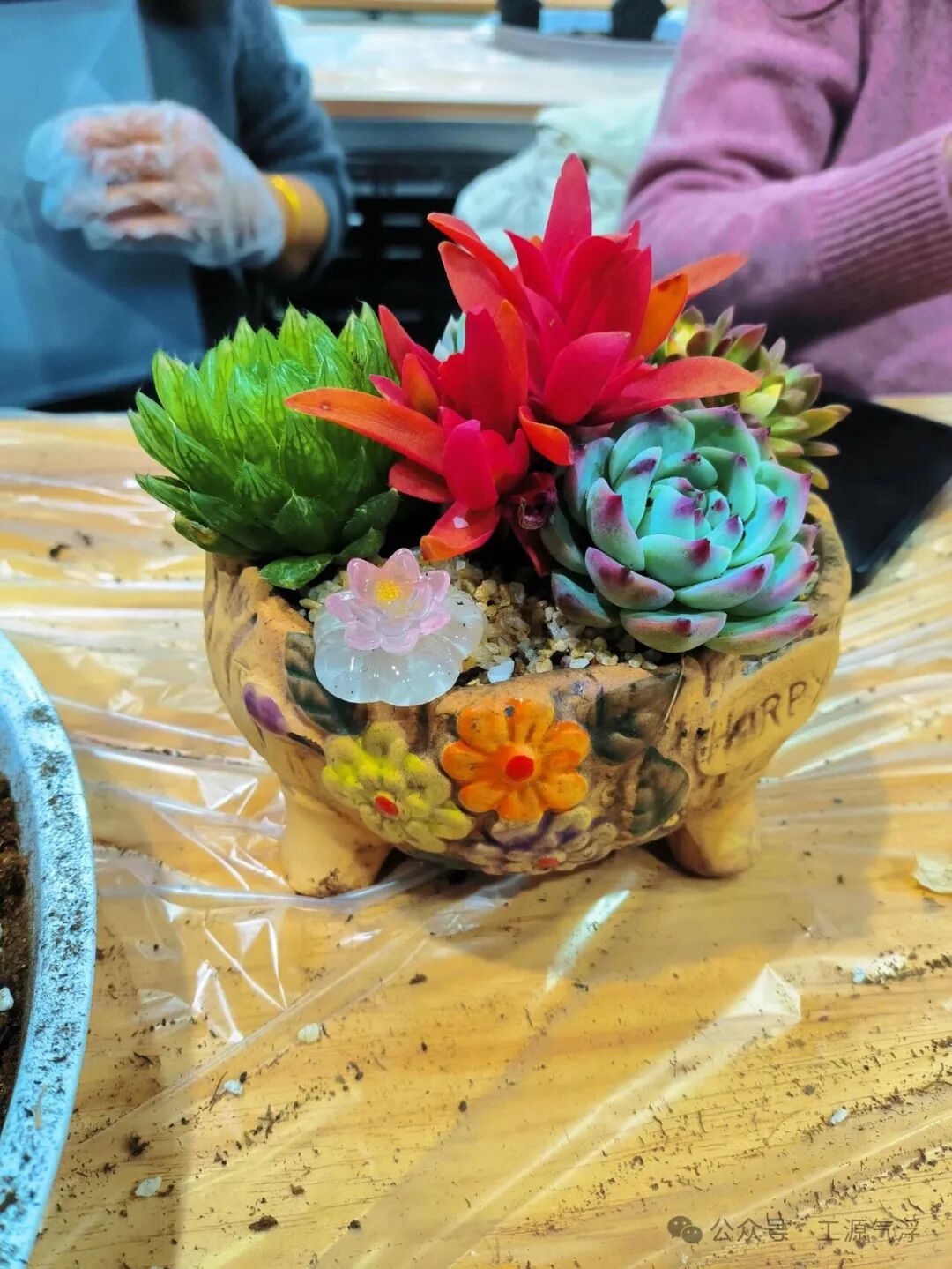 春天和你们，都是最美的风景！