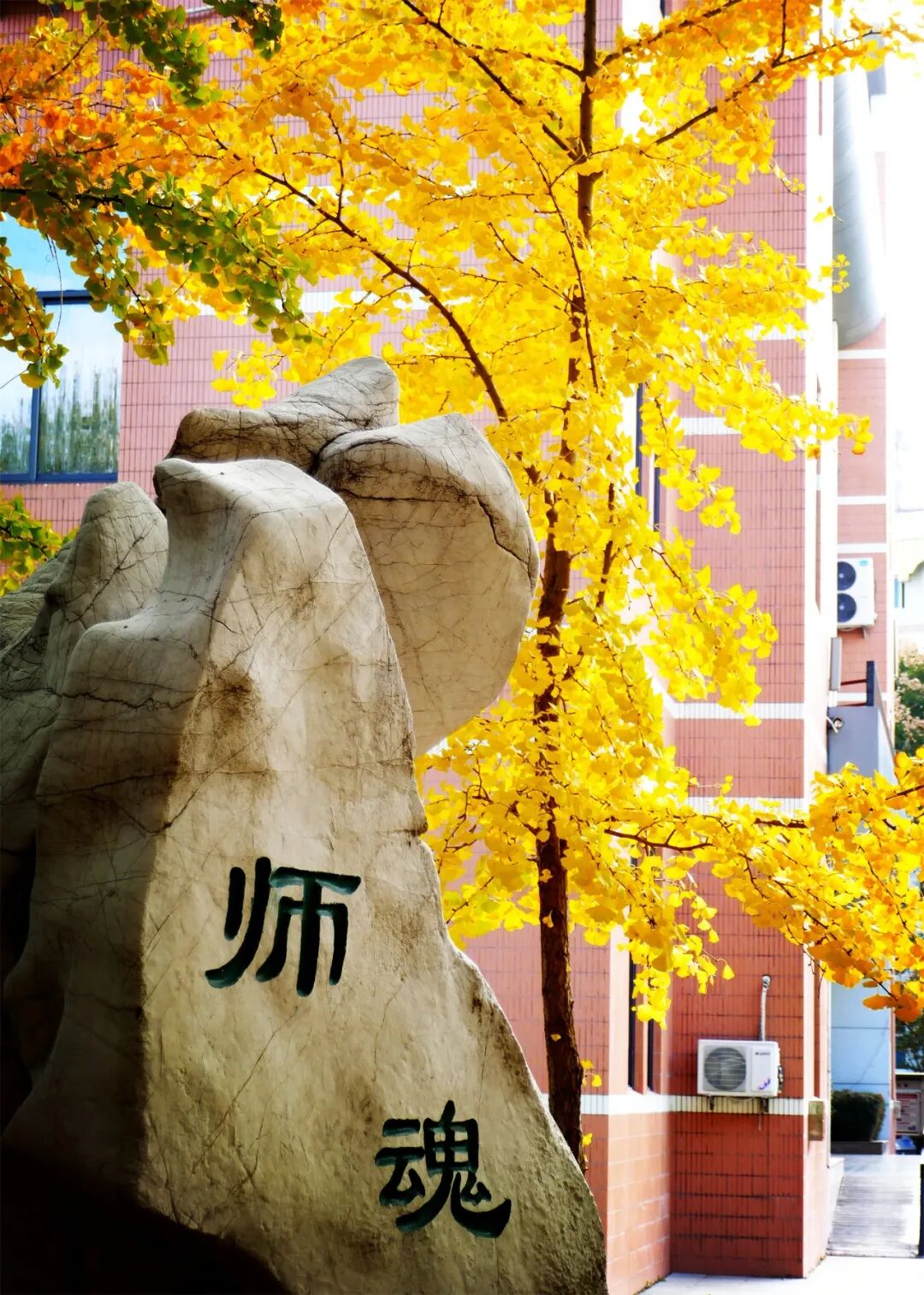 诗意一中 秋色正好