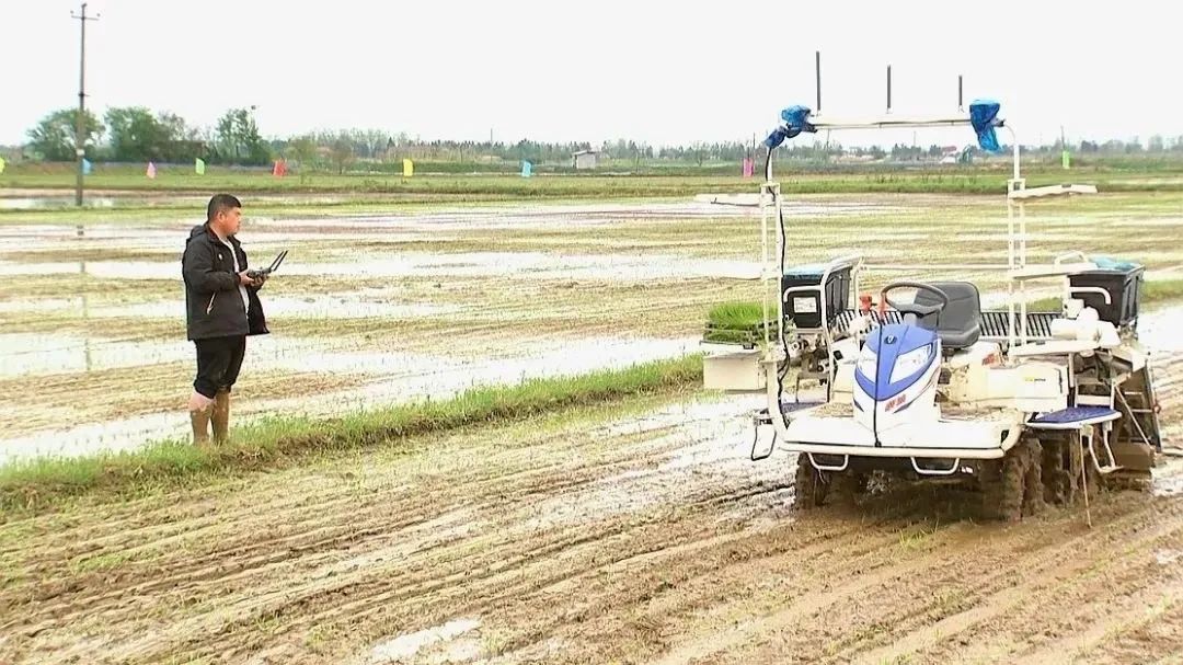 AI在泥水裡生根發芽：豐疆智慧讓自動駕駛在田間地頭落地