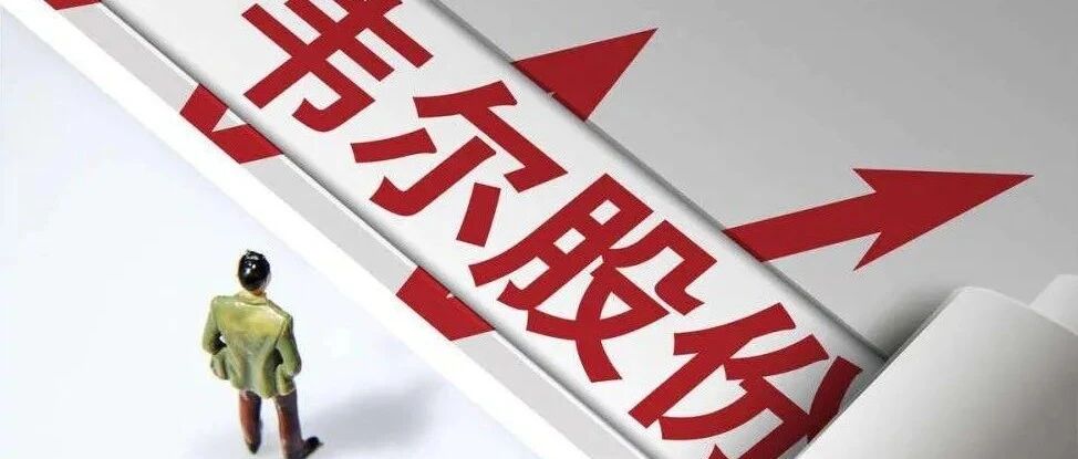 2000亿芯片巨头，韦尔股份能否称霸全球CIS市场？