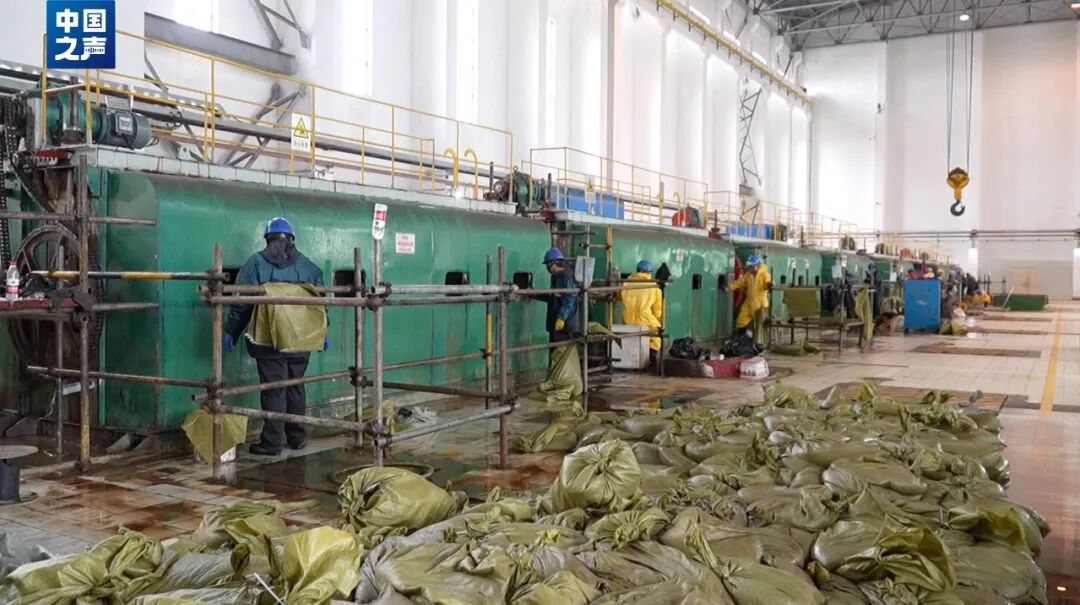 抓不完！浙江一发电厂遭海蜇“大规模入侵”，什么原因造成的？