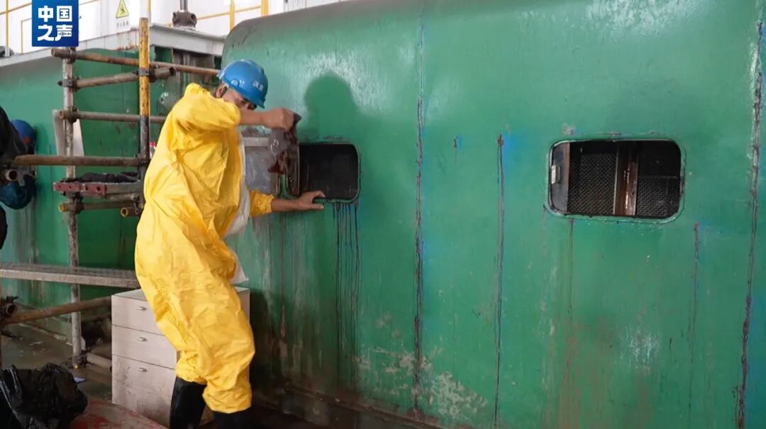 抓不完！浙江一发电厂遭海蜇“大规模入侵”，什么原因造成的？