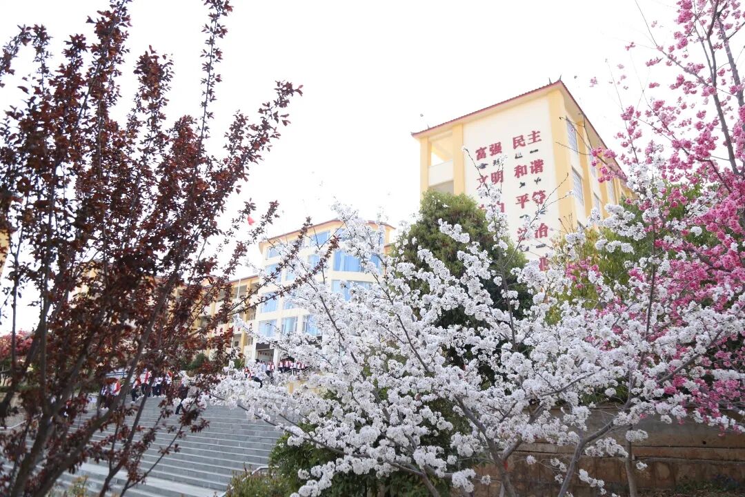 丽江文林实验学校教师招聘公告(若干)
