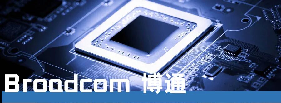 全球十大芯片巨头诞生！的图12