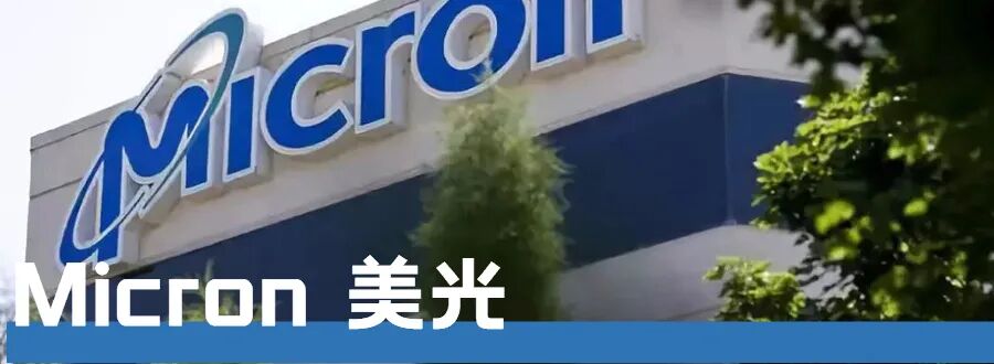 全球十大芯片巨头诞生！的图8