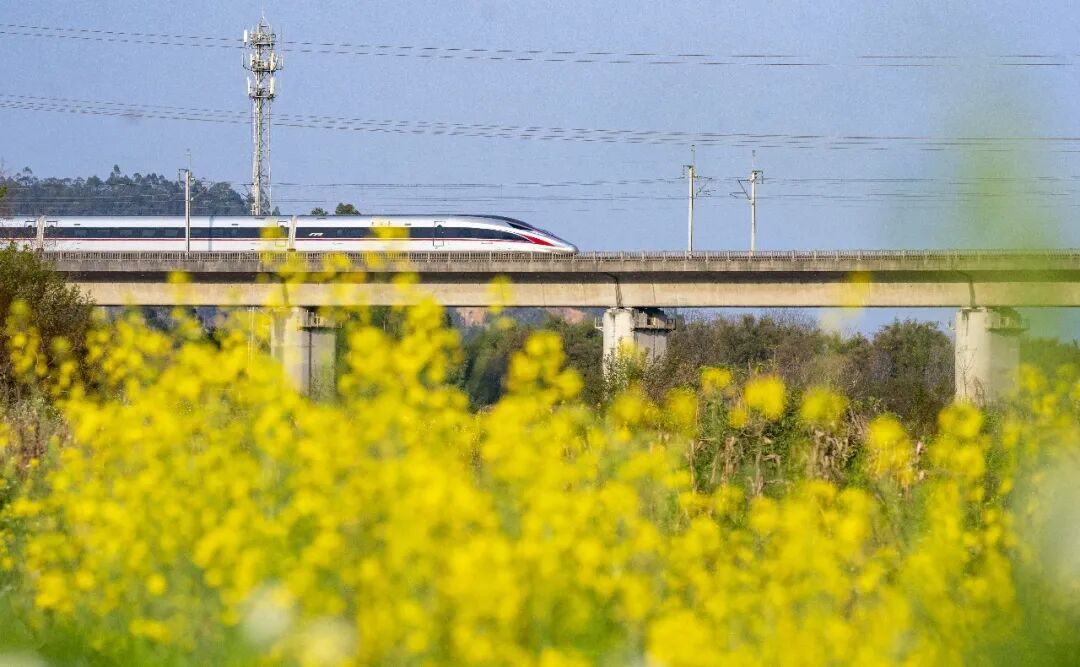 清城区东城街道新桥江陂洞村，高铁动车组在桥上驶过。清远日报记者 江元威 摄