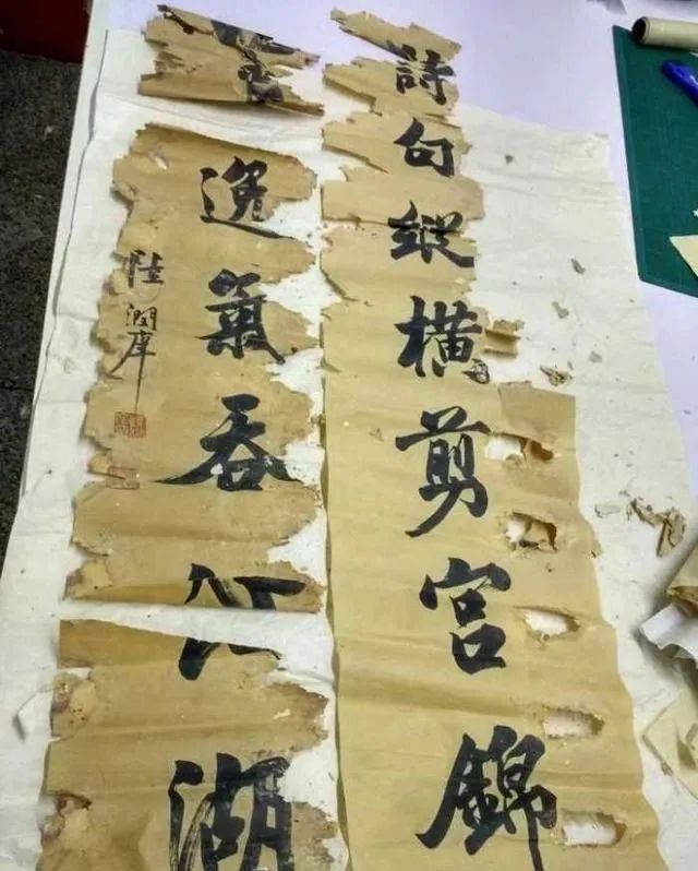 你家狗拆過最貴的東西是什麼？「保險套！現在已經當媽了！」 寵物 第4張