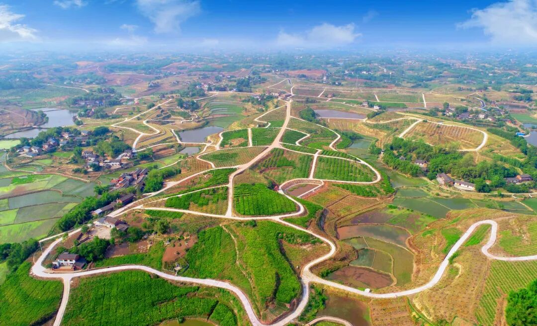 农村道路1.jpg