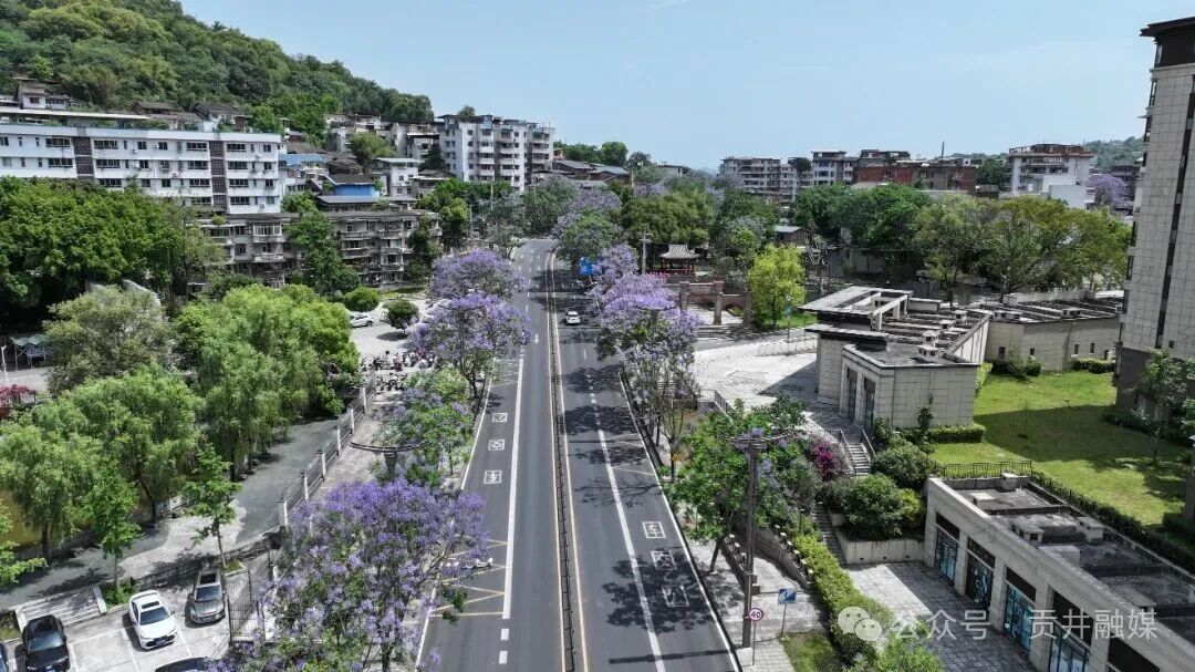 天池山路 (2).JPG