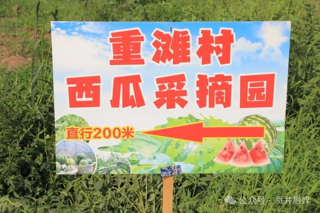431A7668.JPG