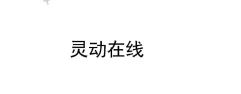 霍尔果斯灵动在线科技有限公司