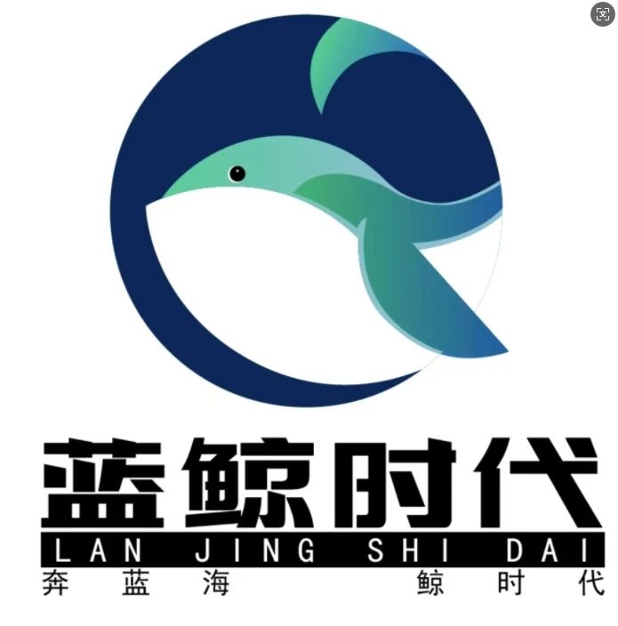 蓝鲸时代