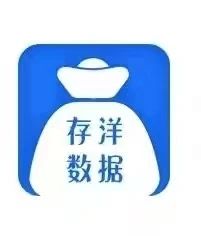 辽宁存洋网络科技有限公司