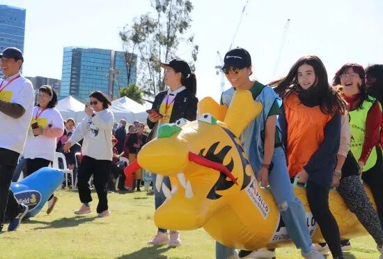 首届悉尼旱地龙舟节