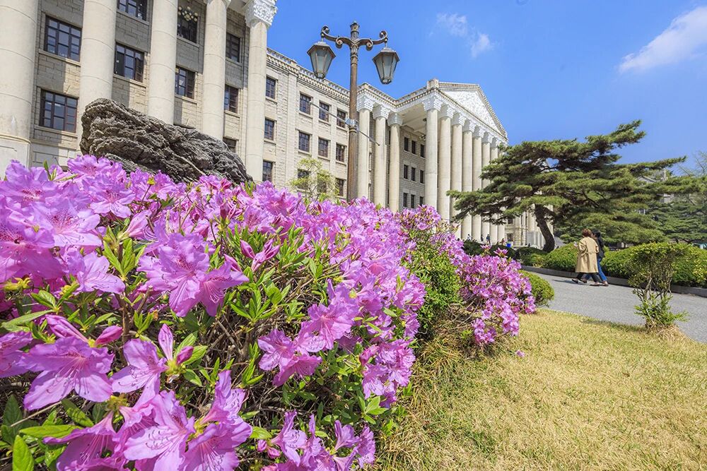 韩国留学本科申请方式(图2)