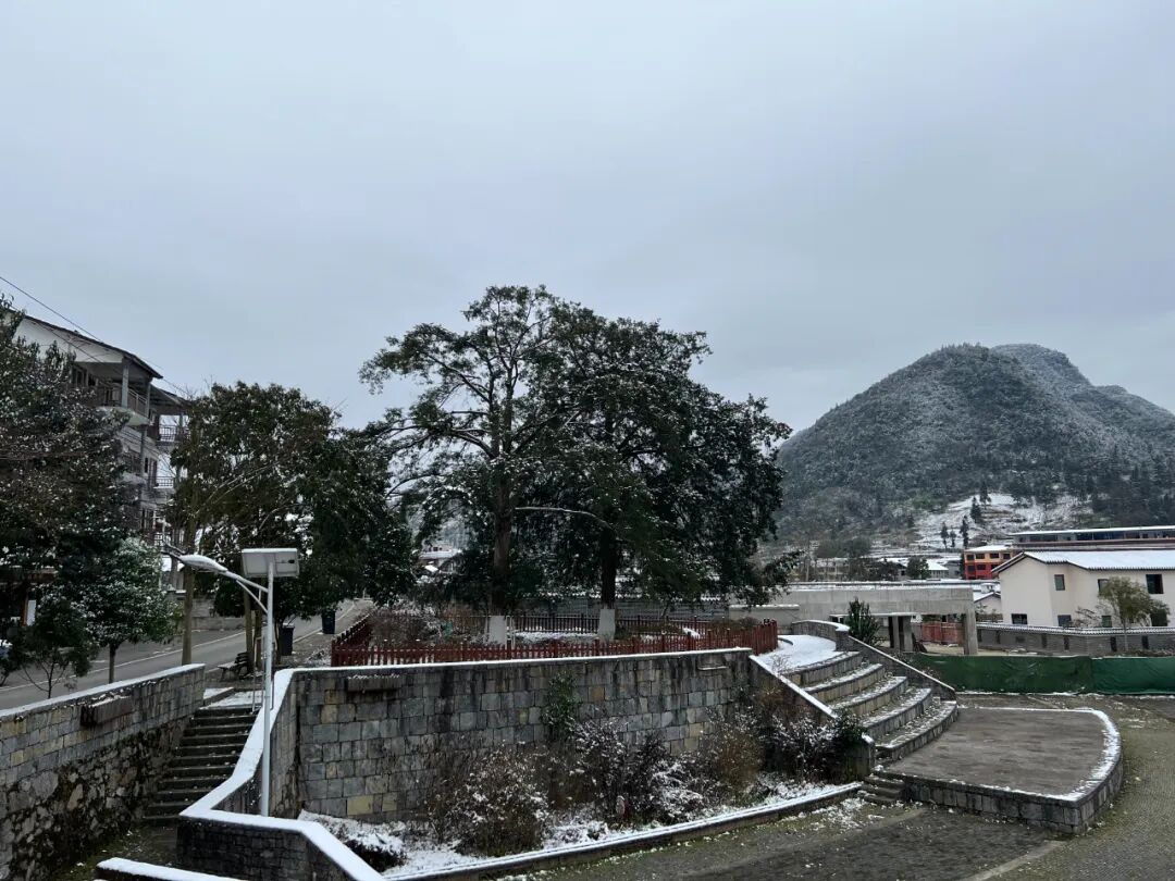 新春走基层 | 九坝镇山堡社区:乡村文明美丽 居民生活富足