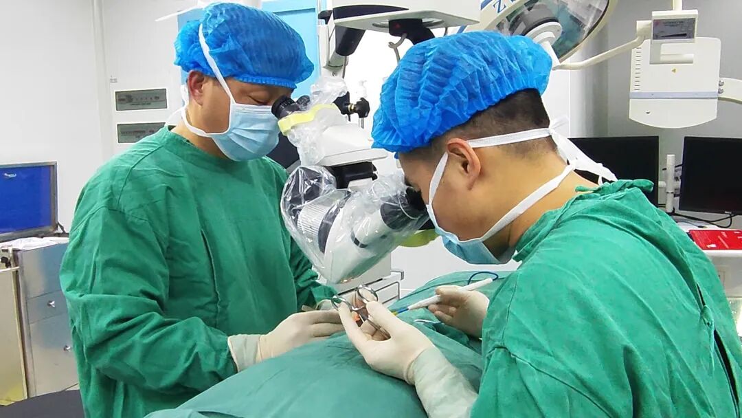 什么是显微镜手术健康科普｜显微镜下精索静脉高位结扎术_https://www.jmylbn.com_新闻资讯_第4张