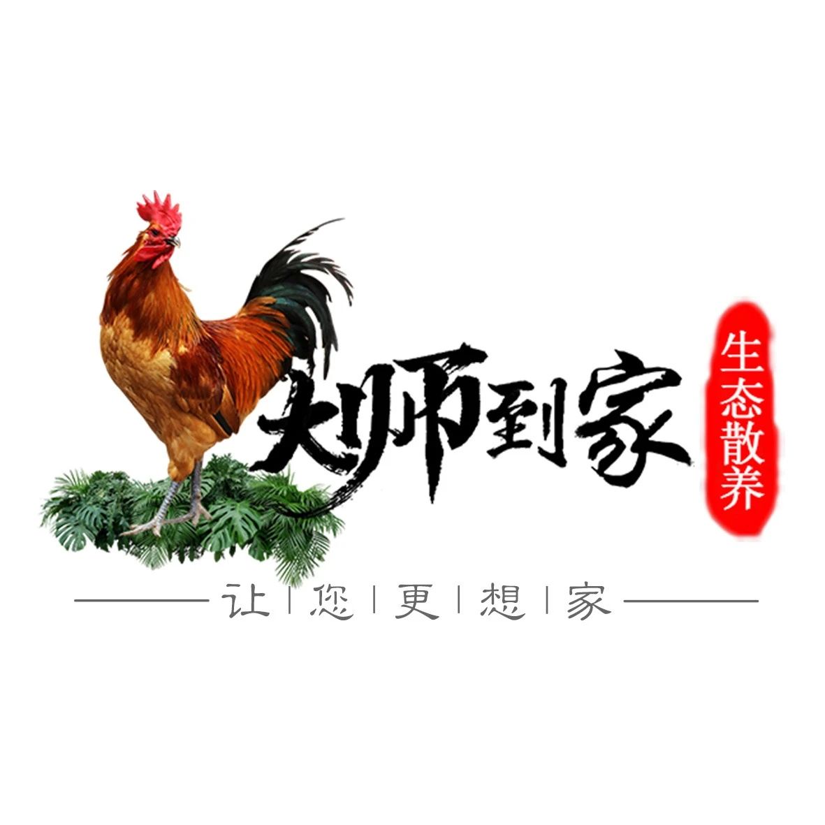 大师到家，让您更想家！