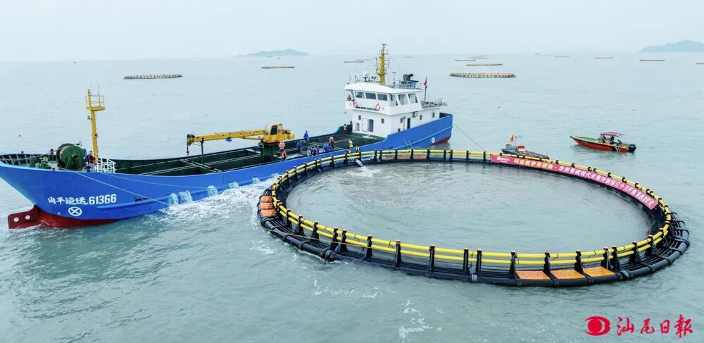华润零碳现代化海洋牧场三十万斤鱼苗投放仪式现场。汕尾日报记者  陈茂辛  摄