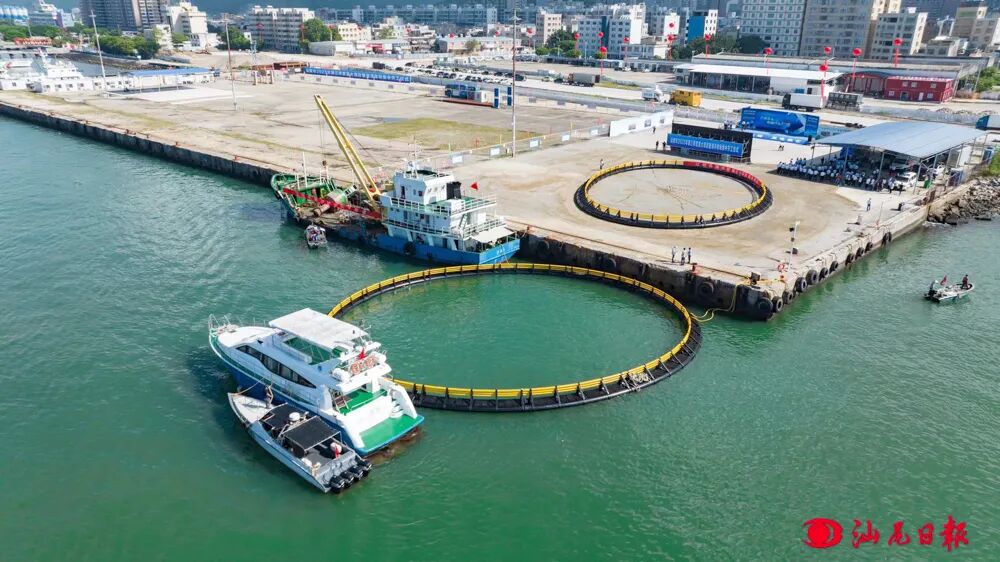 轮船拉着深海网箱从汕尾港出发驶向江牡岛海洋牧场。 记者 陈茂辛 摄