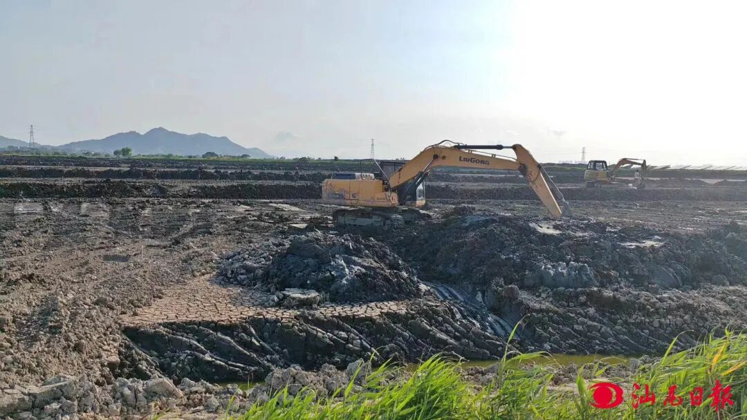 桥冲镇切实推进小棚南美白对虾养殖基地建设。

