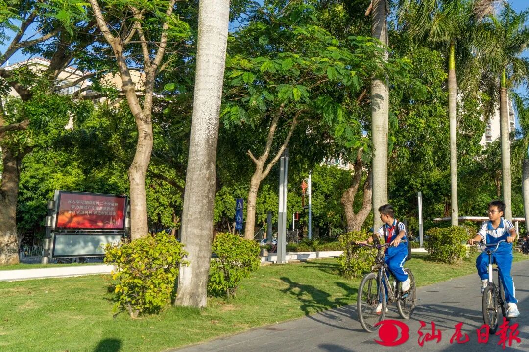 市民在市城区海滨公园骑行。

